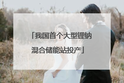 我国首个大型锂钠混合储能站投产