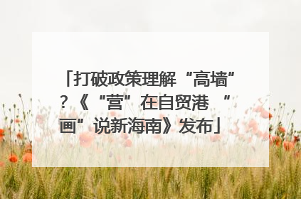 打破政策理解“高墙”？《“营”在自贸港 “画”说新海南》发布