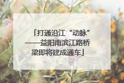 打通沿江“动脉”——益阳南滨江路桥梁即将建成通车