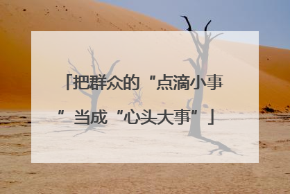 把群众的“点滴小事”当成“心头大事”