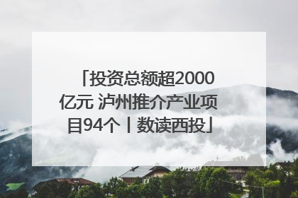 投资总额超2000亿元 泸州推介产业项目94个丨数读西投