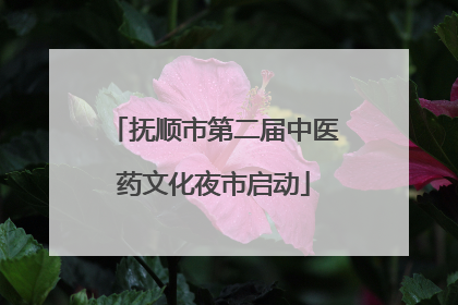 抚顺市第二届中医药文化夜市启动
