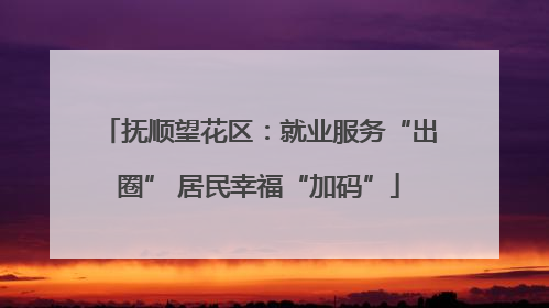 抚顺望花区：就业服务“出圈” 居民幸福“加码”
