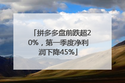 拼多多盘前跌超20%，第一季度净利润下降45%