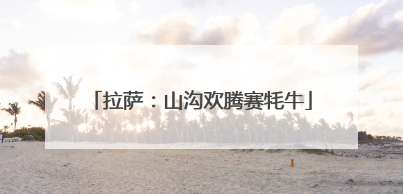 拉萨：山沟欢腾赛牦牛