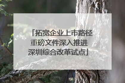 拓宽企业上市路径 重磅文件深入推进深圳综合改革试点