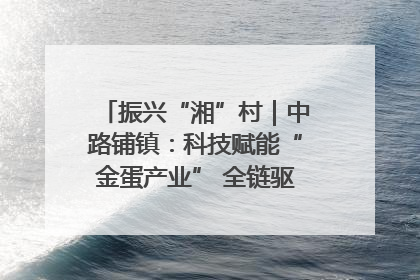 振兴“湘”村｜中路铺镇：科技赋能“金蛋产业” 全链驱动乡村振兴