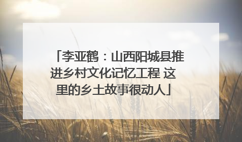 李亚鹤：山西阳城县推进乡村文化记忆工程 这里的乡土故事很动人