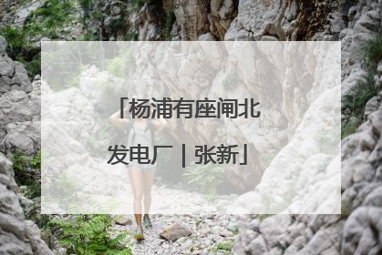 杨浦有座闸北发电厂｜张新