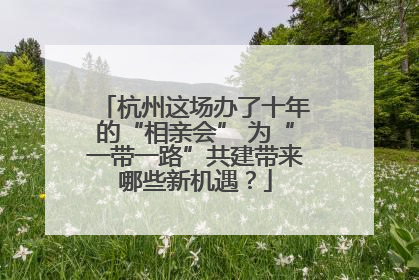 杭州这场办了十年的“相亲会” 为“一带一路”共建带来哪些新机遇？
