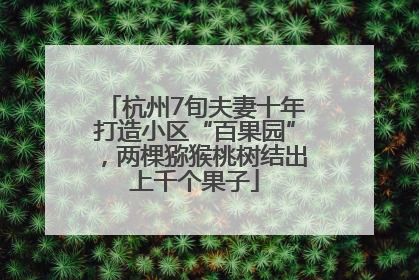杭州7旬夫妻十年打造小区“百果园”，两棵猕猴桃树结出上千个果子