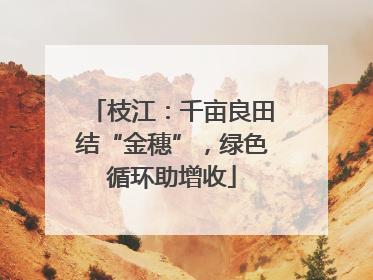 枝江：千亩良田结“金穗”，绿色循环助增收