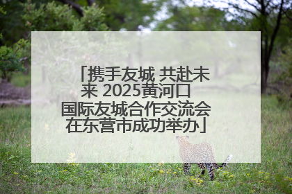 携手友城 共赴未来 2025黄河口国际友城合作交流会在东营市成功举办
