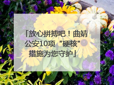 放心拼搏吧！曲靖公安10项“硬核”措施为您守护