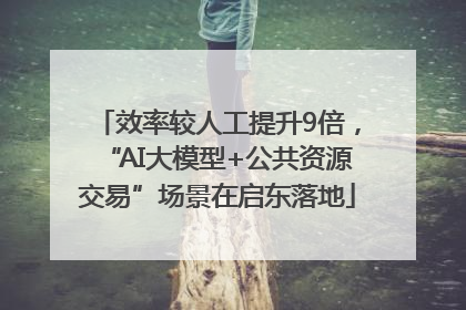 效率较人工提升9倍，“AI大模型+公共资源交易”场景在启东落地