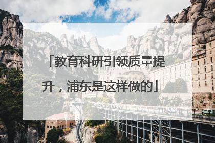 教育科研引领质量提升，浦东是这样做的
