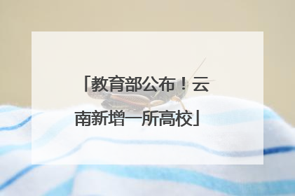 教育部公布！云南新增一所高校