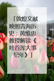 敦煌文献映照青海历史：黄维忠教授解读《吐谷浑大事纪年》