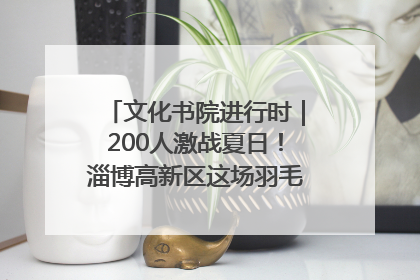 文化书院进行时｜200人激战夏日！淄博高新区这场羽毛球比赛太酷