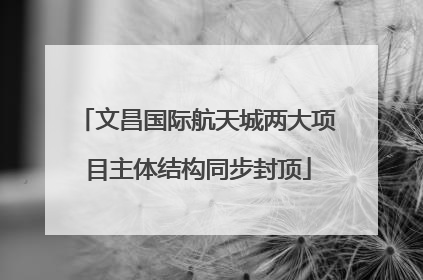 文昌国际航天城两大项目主体结构同步封顶