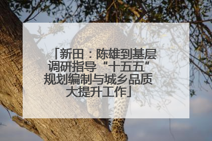 新田：陈雄到基层调研指导“十五五”规划编制与城乡品质大提升工作