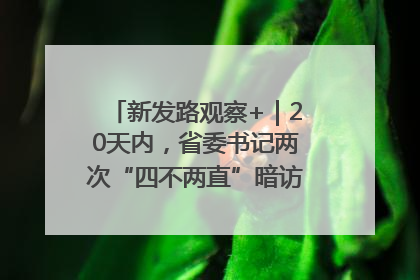 新发路观察+｜20天内，省委书记两次“四不两直”暗访，有何深意？