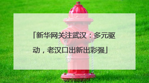 新华网关注武汉：多元驱动，老汉口出新出彩强