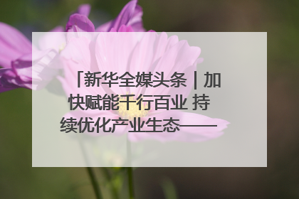 新华全媒头条｜加快赋能千行百业 持续优化产业生态——浙江推动人工智能健康有序发展观察