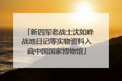 新四军老战士沈如峰战地日记等实物资料入藏中国国家博物馆