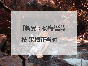 新晃：杨梅缀满枝 采梅正当时