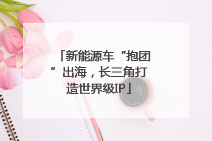 新能源车“抱团”出海，长三角打造世界级IP