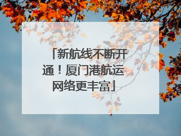 新航线不断开通！厦门港航运网络更丰富