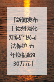新闻发布丨德州强化知识产权司法保护 五年挽损超930万元