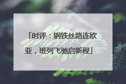 时评：钢铁丝路连欧亚，班列飞驰启新程