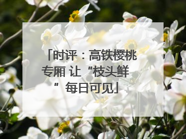 时评：高铁樱桃专厢 让“枝头鲜”每日可见