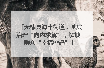 无棣县海丰街道：基层治理“向内求解”，解锁群众“幸福密码”