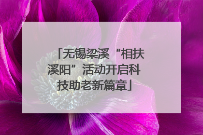 无锡梁溪“相扶溪阳”活动开启科技助老新篇章