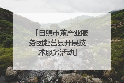 日照市茶产业服务团赴莒县开展技术服务活动