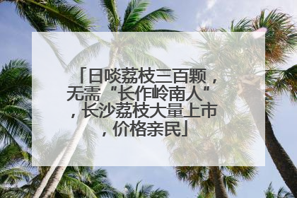 日啖荔枝三百颗，无需“长作岭南人”，长沙荔枝大量上市，价格亲民