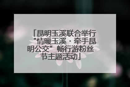 昆明玉溪联合举行“情暖玉溪・牵手昆明公交”畅行游粉丝节主题活动