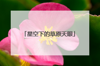 星空下的草原天眼