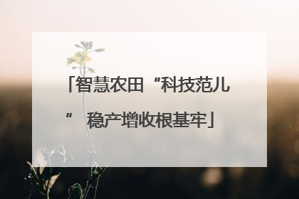 智慧农田“科技范儿” 稳产增收根基牢