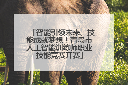 智能引领未来、技能成就梦想！青岛市人工智能训练师职业技能竞赛开赛