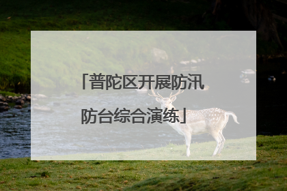 普陀区开展防汛防台综合演练