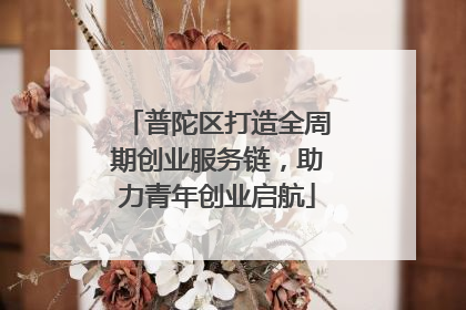 普陀区打造全周期创业服务链，助力青年创业启航