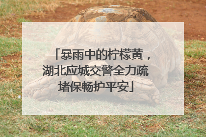 暴雨中的柠檬黄，湖北应城交警全力疏堵保畅护平安