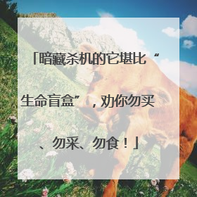 暗藏杀机的它堪比“生命盲盒”，劝你勿买、勿采、勿食！