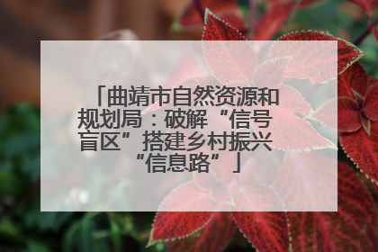 曲靖市自然资源和规划局：破解“信号盲区”搭建乡村振兴“信息路”