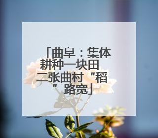 曲阜：集体耕种一块田 二张曲村“稻”路宽