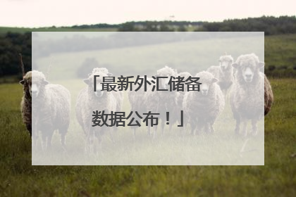 最新外汇储备数据公布！
